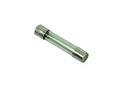 0.3 Amp Slo Blo Fuse MDL-3-10