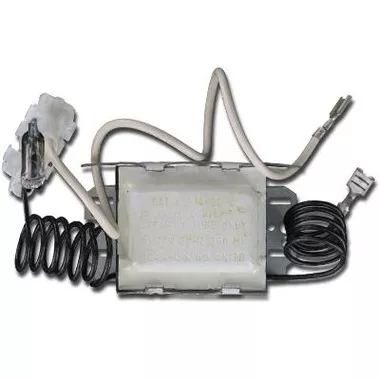 01781-21 D1 Spas U.V. Ballast – (’98-Current)