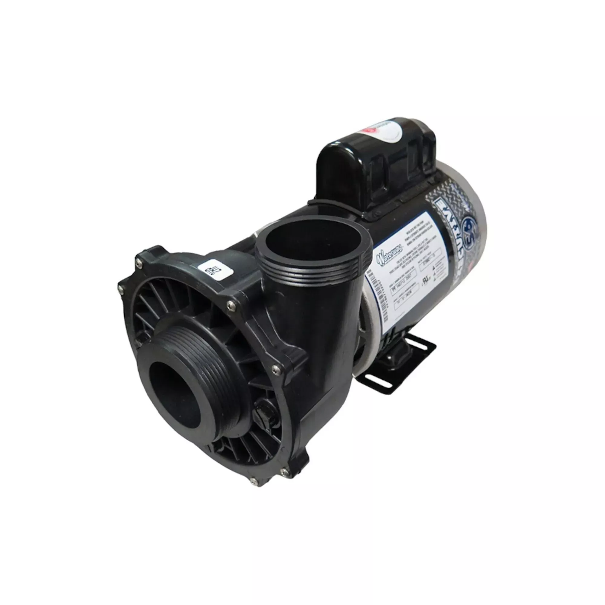 2 HP Executive Spa Pump 2 Speed 230V 3720821-13