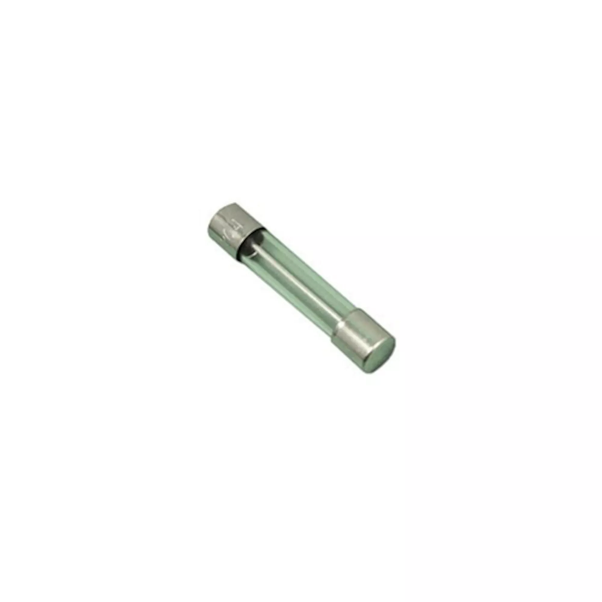 20 Amp Fuse AGC-20