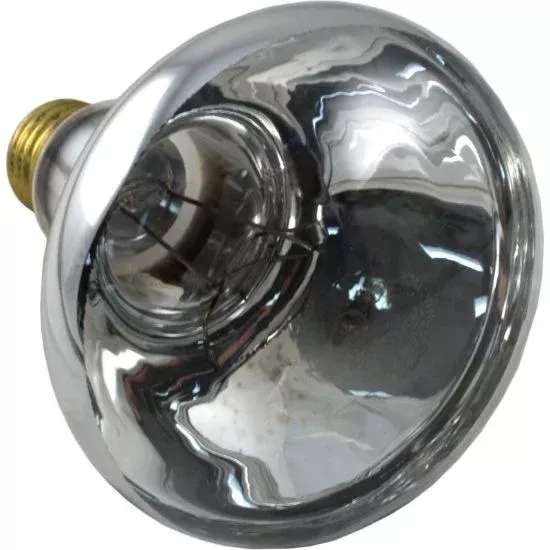 79101800 Replacement Bulb American Products 12v 100w