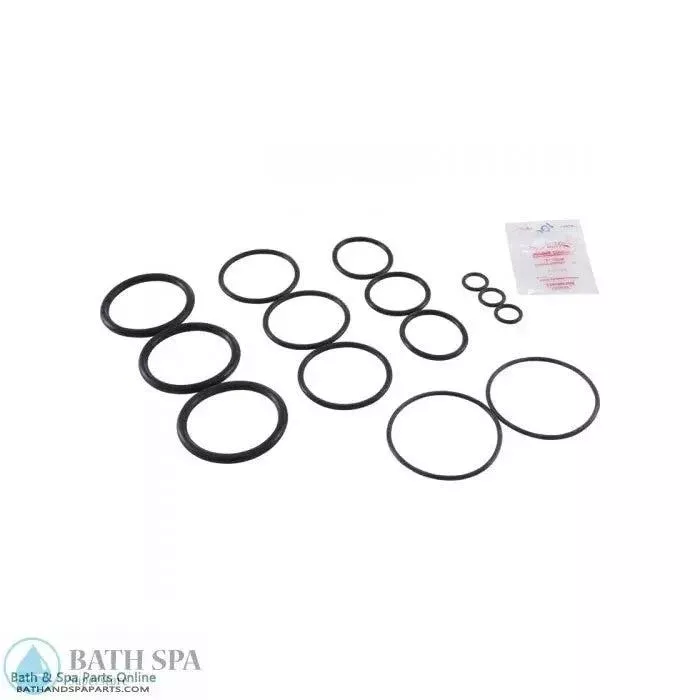 Aladdin Go Kit #37 [Anthony Pools Universal Slide Valve O-Ring] (GO-KIT37)