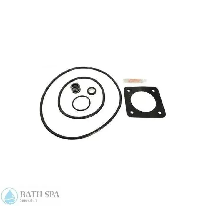 Aladdin Go-Kit #6 [Sta Rite P2RA & P2R Duraglass/Maxiglass Pump Kit] (GO-KIT 6)