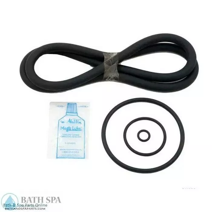 Aladdin RO-KIT 264 [Pac-Fab Mytilus B Filter] (RO-KIT264)