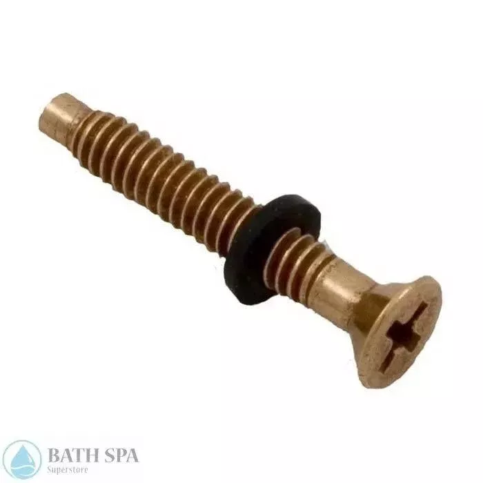 American Products Amerlite Brass Light Pilot Screw (79104800)
