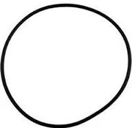 Aqua-Flo XP2 / XP2e Volute O-Ring, 92200230