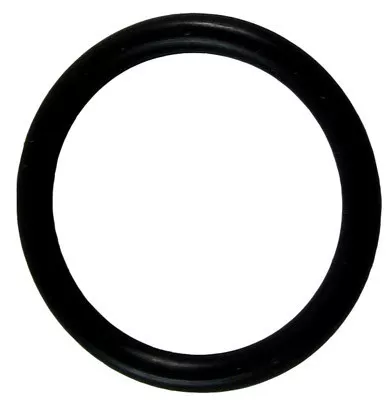 Aquatools Sand Drain Lateral O-Ring | U9-370