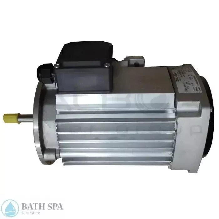 Balboa 1.5 HP Replacement Spa Pump Motor ELD 230V 5 Amp 7503450