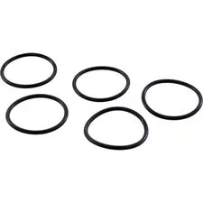Caretaker 99 Water Valve Small O-rings (5PK) 521261