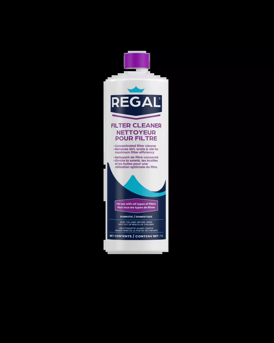 FILTER CLEANER – 1 litre