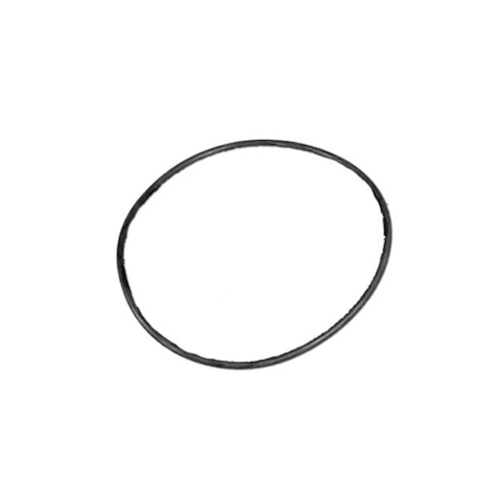 Filter Lid O-Ring 805-0360