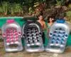 French Classic Pool Lounger 85660 85660-Q