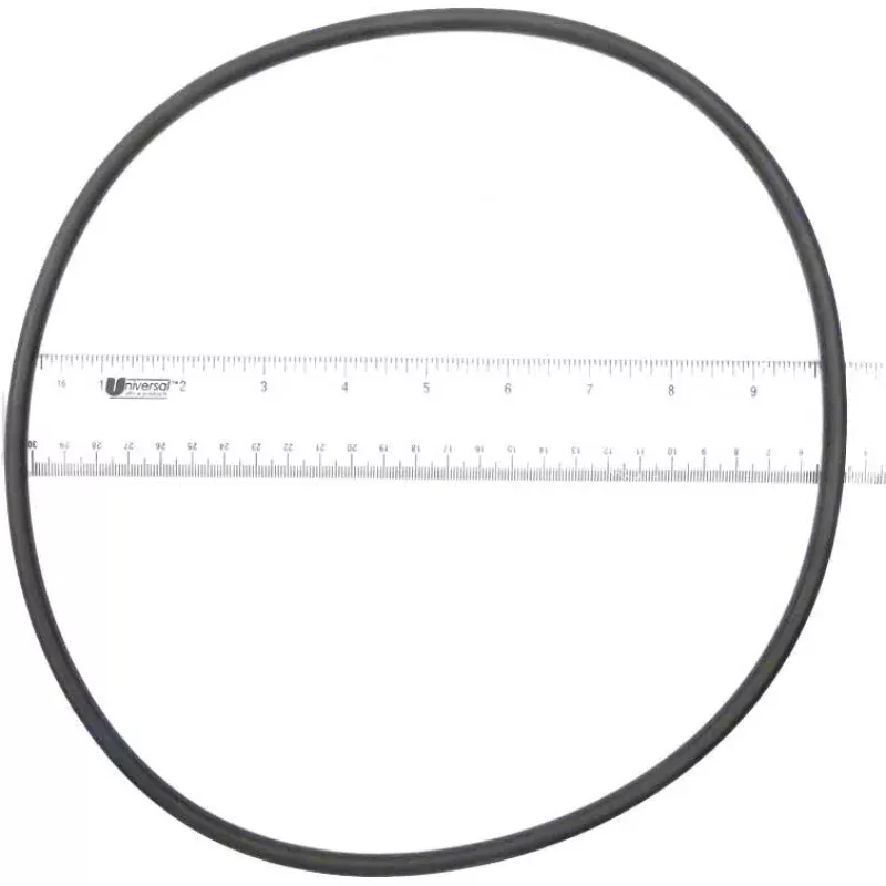 Generic Cartridge Filter Lid O-Ring for C900, 355050422, 39006000