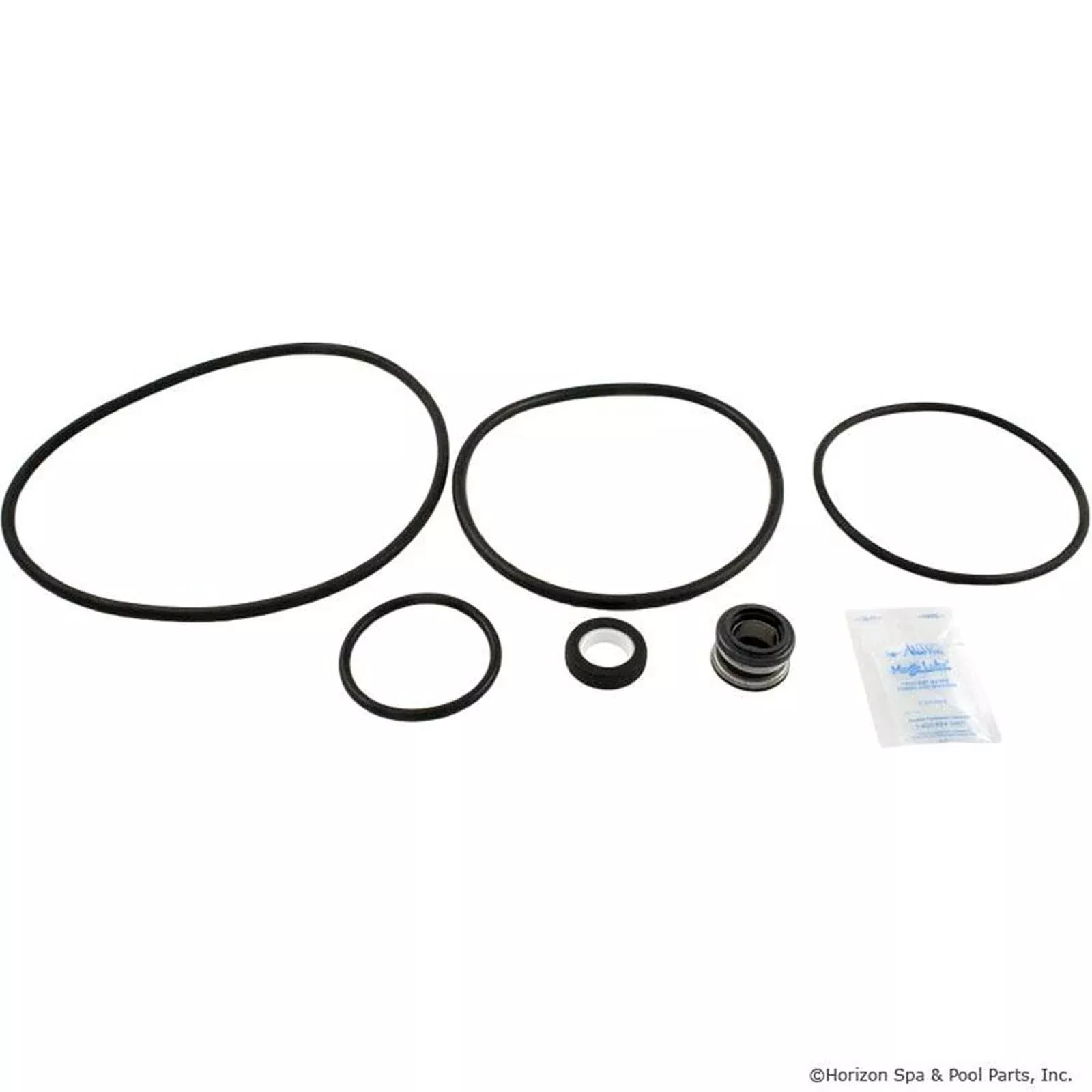 Go-Kit 47 Sta-Rite Dynaglas and J Series Pumps GO-KIT 47