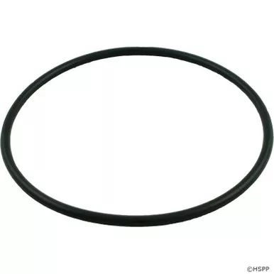 Hayward CLX200K Chlorinator Lid Viton O-Ring for CL200 / CL220
