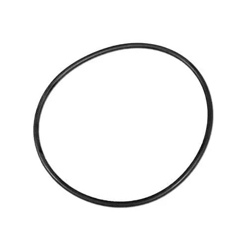 Hayward Micro StarClear Lid O-ring, CX120D (568-360)