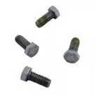 Hayward Northstar Motor Cap Screw (SPX0125Z44)