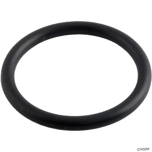 Hayward Piston Oring Small Sp0410X | SPX0410Z1