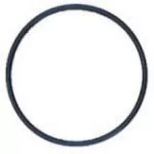 Hayward Skim-Master 1070 Skimmer, Float Valve O-Ring (SPX1070Z1)