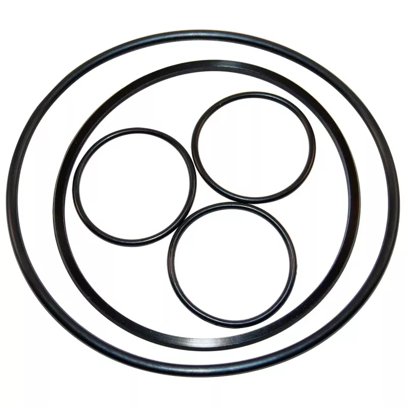 Hayward VL Series O-Ring Kit | VLX4004a