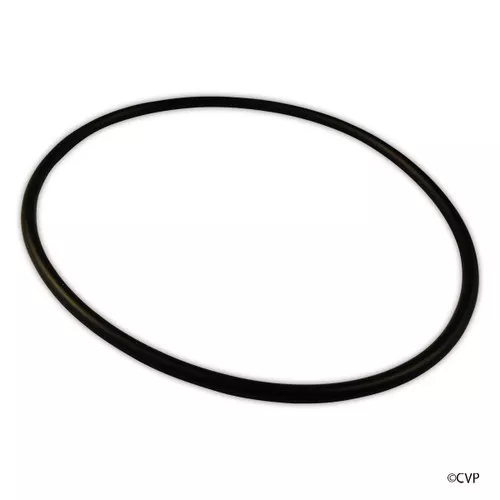 JANDY ENERGY FILTER Oring KIT Energy Filter Oring Replacement Kit for Zodiac Jandy Ray Vac Automatic Pool Cleaner | R0374500