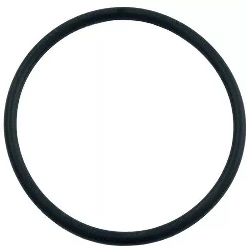 O-Ring for Hayward CL100 & CL110 Chlorinator CLX110K