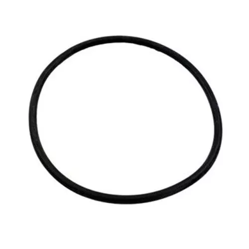 O-Ring for Hayward CL200 & CL220 Chlorinator Lid CLX200K