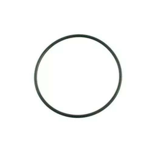O-Ring for Hayward Power-Flo Matrix Housing SPX0710XZ5