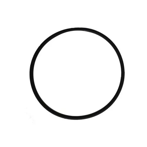 O-Ring for Pool Frog Above Ground Caps