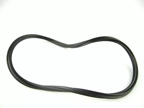 Paramount O-Ring for Debris Canister - #005-152-0120-00