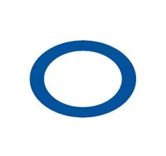 Paramount SDX High Flow Safety Drain Bulkhead Gasket for Vinyl and Fiberglass # 005-252-0072-00