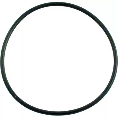 Pentair 355227 WhisperFlo and IntelliFlo Diffuser O-Ring