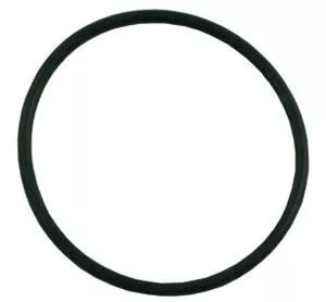 Pentair 355330 Challenger Strainer Pot Flange O-Ring