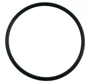Pentair 39006600 Ultra-Flow Diffuser Gasket