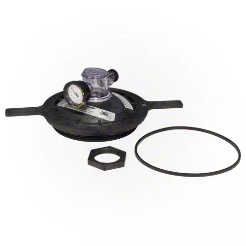 Pentair Closure Kit 154856