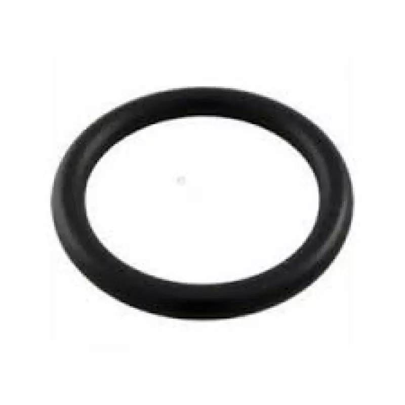 Pentair Drain Plug O-Ring Replacement | 51005000Z
