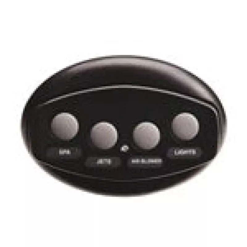 Pentair iS4 Spa Side Remote Black 100FT 521892