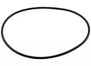 Pentair Letro LA415 Volute O-Ring for LA01N Booster Pump