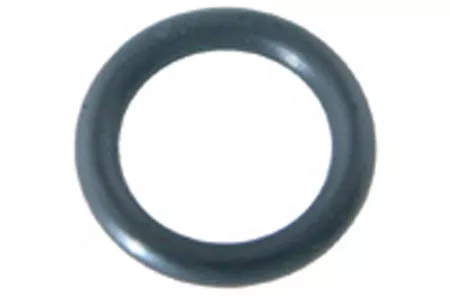 Pentair Oring | U9-359