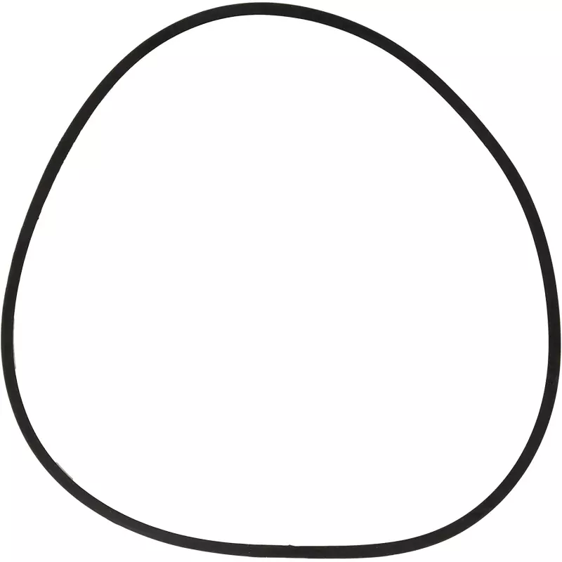 Pentair Pac-Fab Closure O-Ring – 152509Z