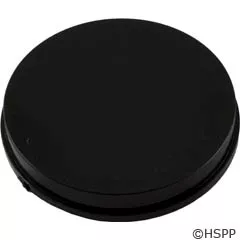 Pentair/Rainbow Plug To Disable Bypass, 2", Black - R172679