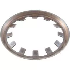 Pentair Retaining Ring, Clamp | 24850-0016