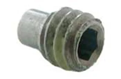 Pentair Set Screw, Single | 354256