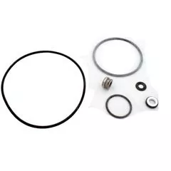 Pentair/Sta-Rite Seal Kit, Pentair Sta-Rite DuraGlas II | PP4200