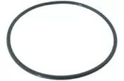 Pentair SuperFlo/OptiFlo Strainer Lid O-Ring, 357255