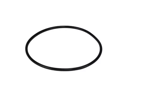 Polaris Pb4-60, Oring, Backplate | R0536600