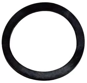 Raypak Electric Element Gasket (800164)