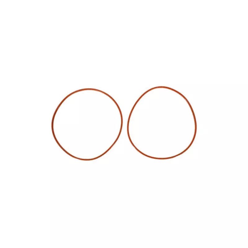 Raypak O-Ring Gasket (2 Pack) – 011600F