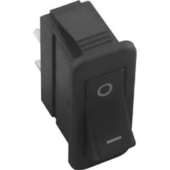Raypak Rocker Switch - 009493F