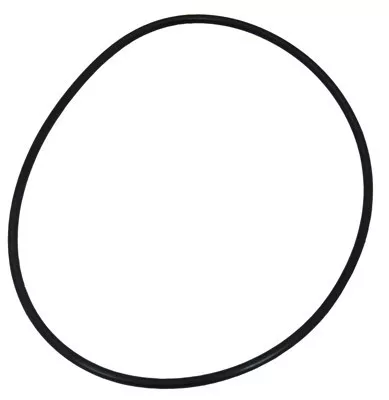 Speck Lid O-Ring | 7200055003